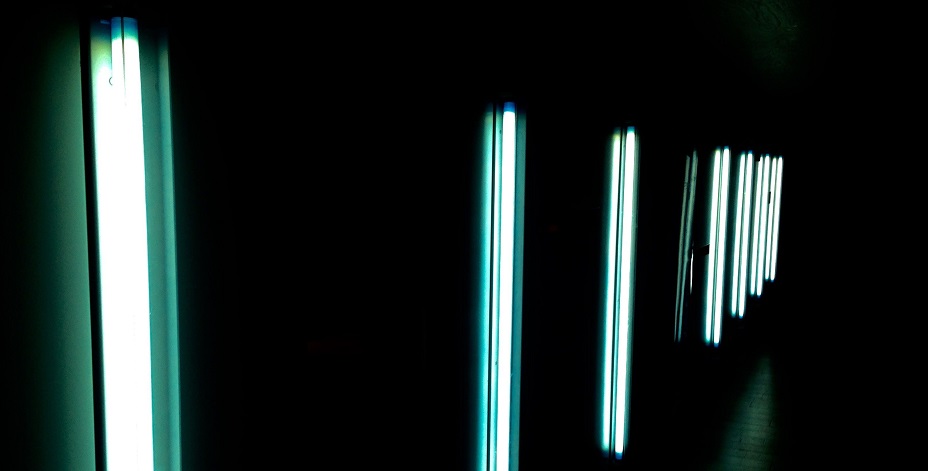 Foto von Wayne Gourley auf Unsplash