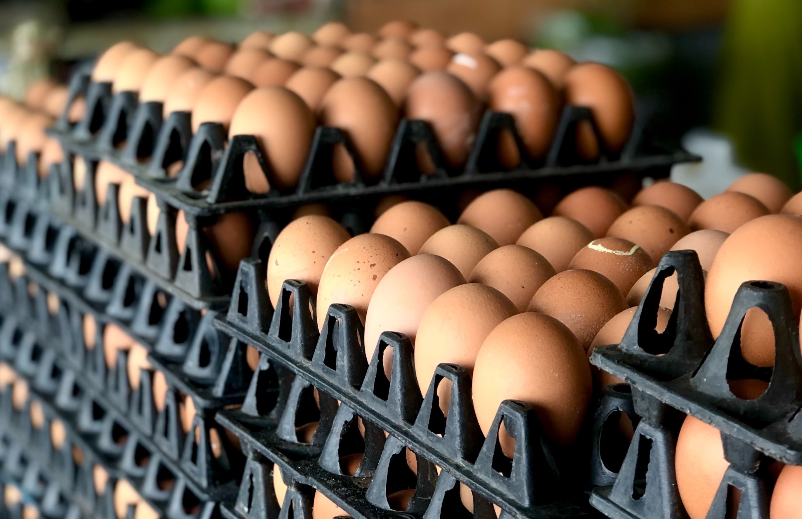 Photo by <a href="https://unsplash.com/@bradley_prentice?utm_source=unsplash&utm_medium=referral&utm_content=creditCopyText">Bradley Prentice</a> on <a href="https://unsplash.com/t/food-drink?utm_source=unsplash&utm_medium=referral&utm_content=creditCopyText">Unsplash</a>