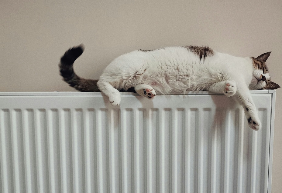 Foto von he gong auf Unsplash