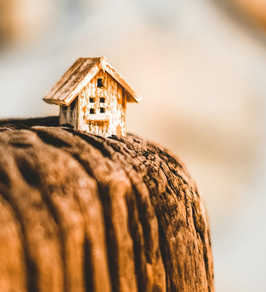 Foto von Valentin Petkov auf Unsplash