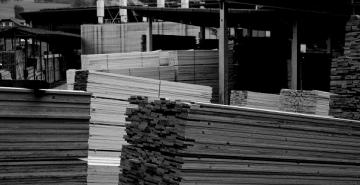 Holz